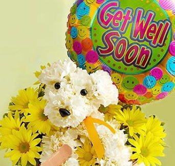 Shop for get well flowers & giftsts