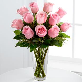 Love & Romance