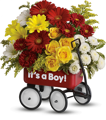 Baby\'s Wow Wagon - Boy