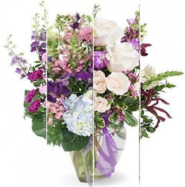 Designer\'s Choice in Purple