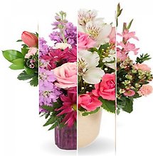 Designer\'s Choice in Pink