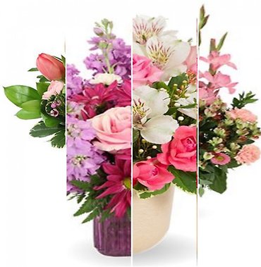 Designer\'s Choice in Pink