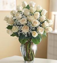 24 Premium Long Stem White Roses