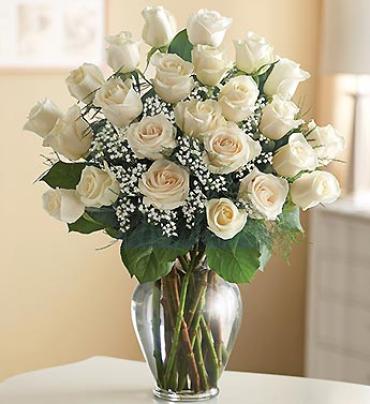 24 Premium Long Stem White Roses