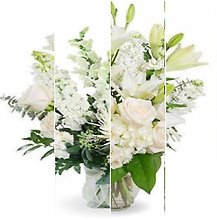 Designer\'s Choice in White