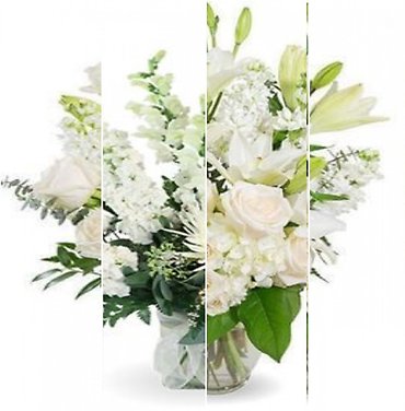 Designer\'s Choice in White