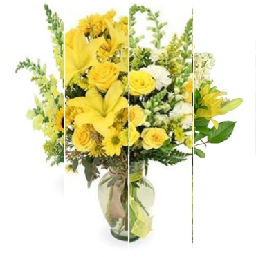 Designer\'s Choice in Yellow