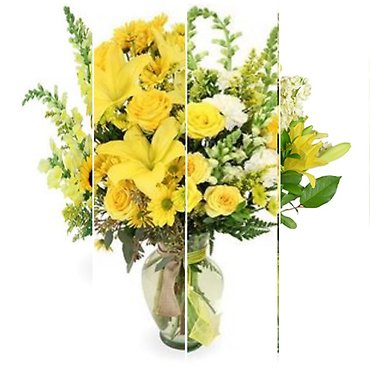 Designer\'s Choice in Yellow