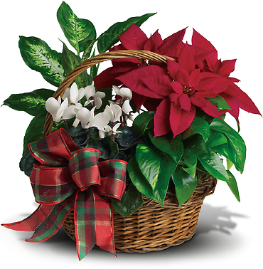 Holiday Planter Basket